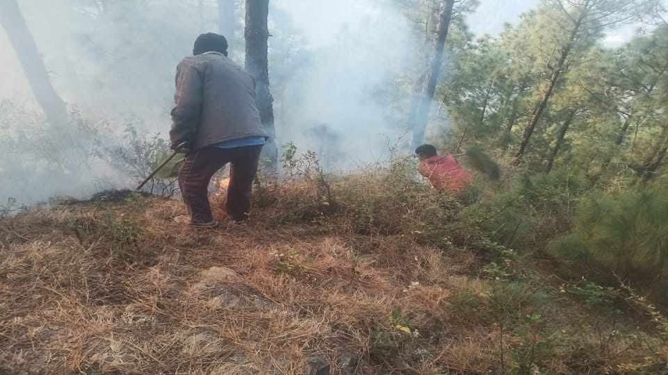 Terrible forest fire in Himachal Pradesh