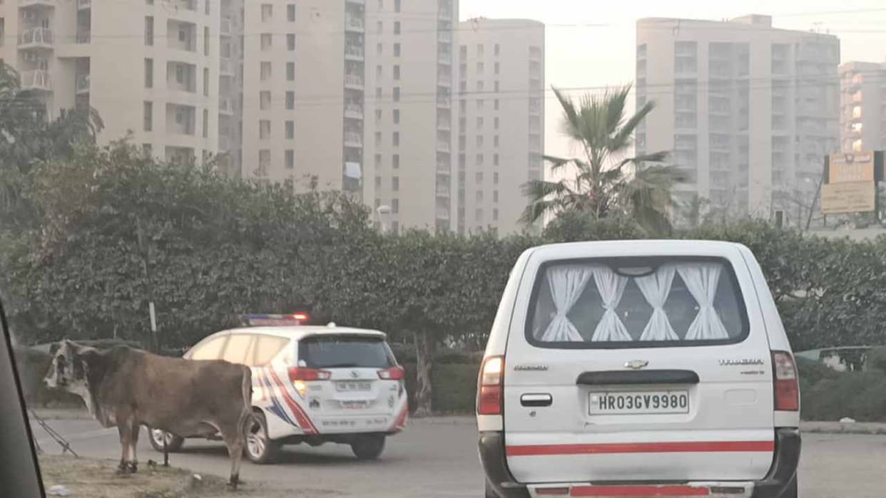 Female doctor committed suicide by jumping from the 11th floor in Panchkula