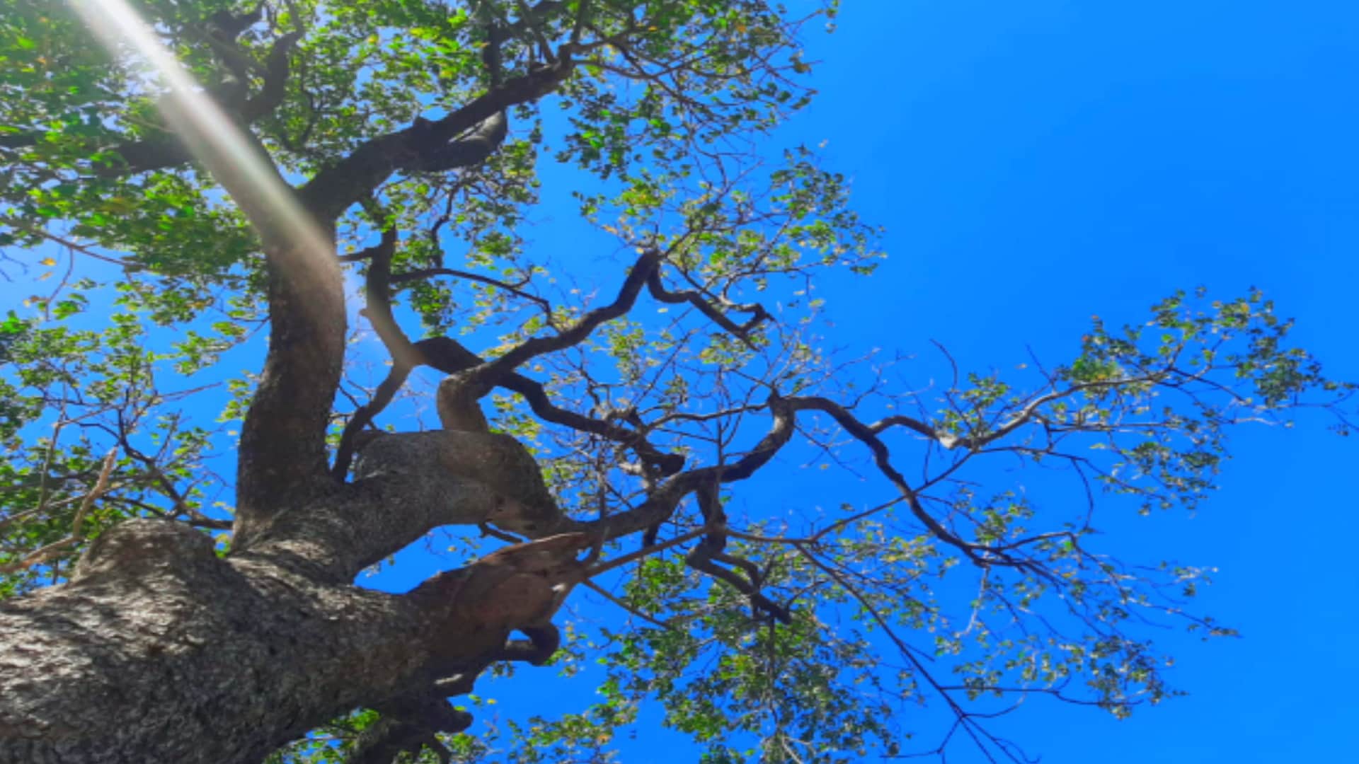 New year 2024: New sunshine, take a look on these amazing pictures of winter