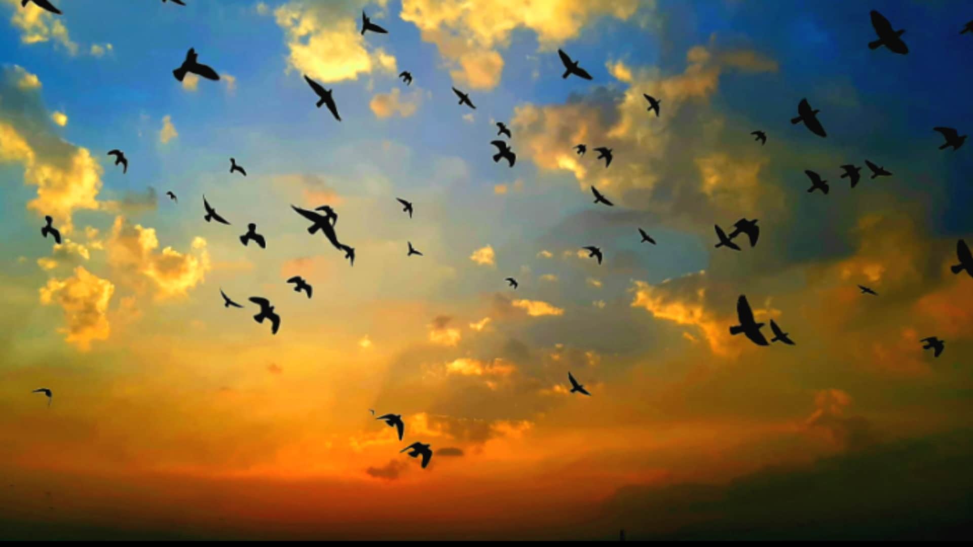 New year 2024: New sunshine, take a look on these amazing pictures of winter