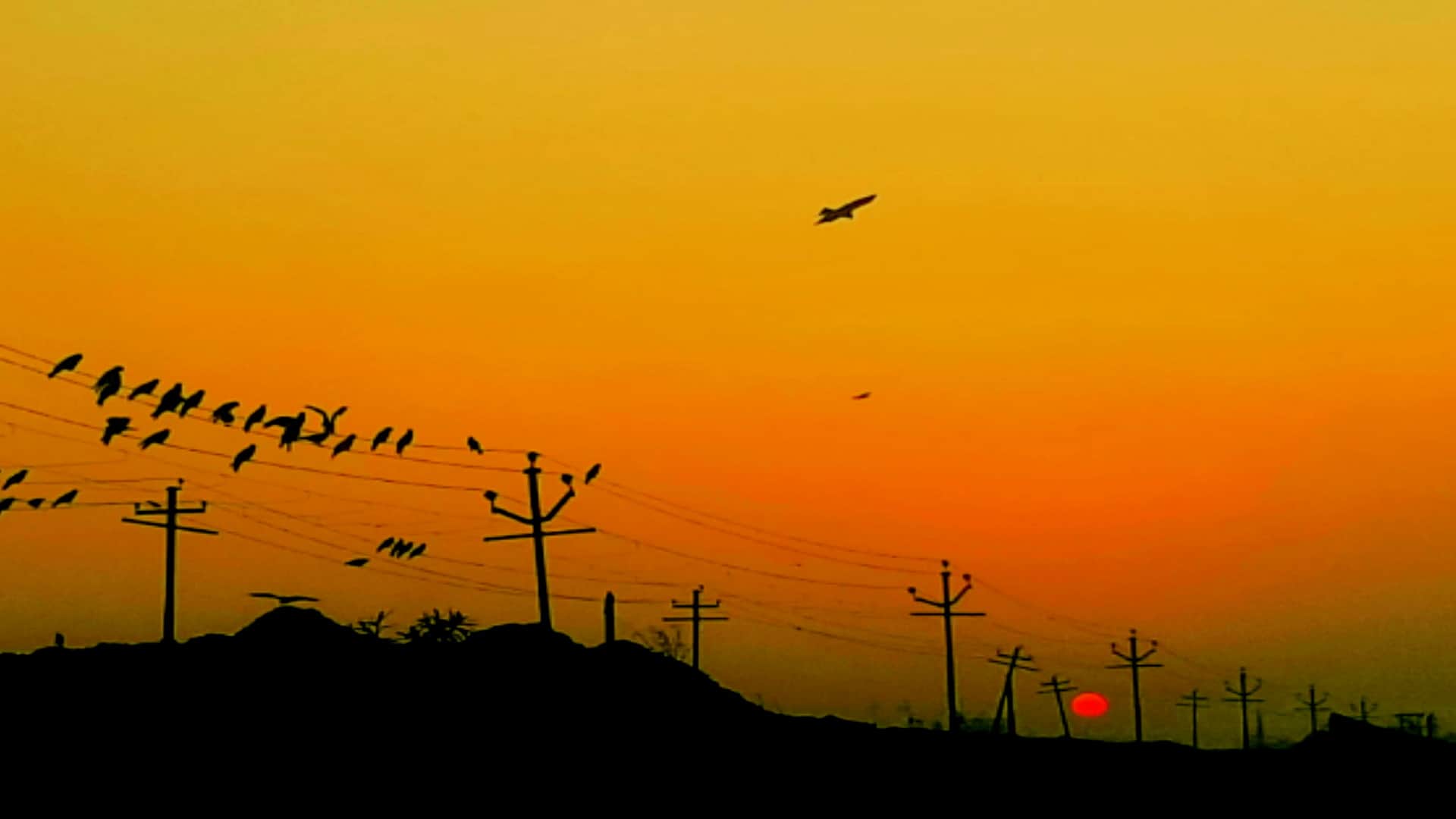 New year 2024: New sunshine, take a look on these amazing pictures of winter