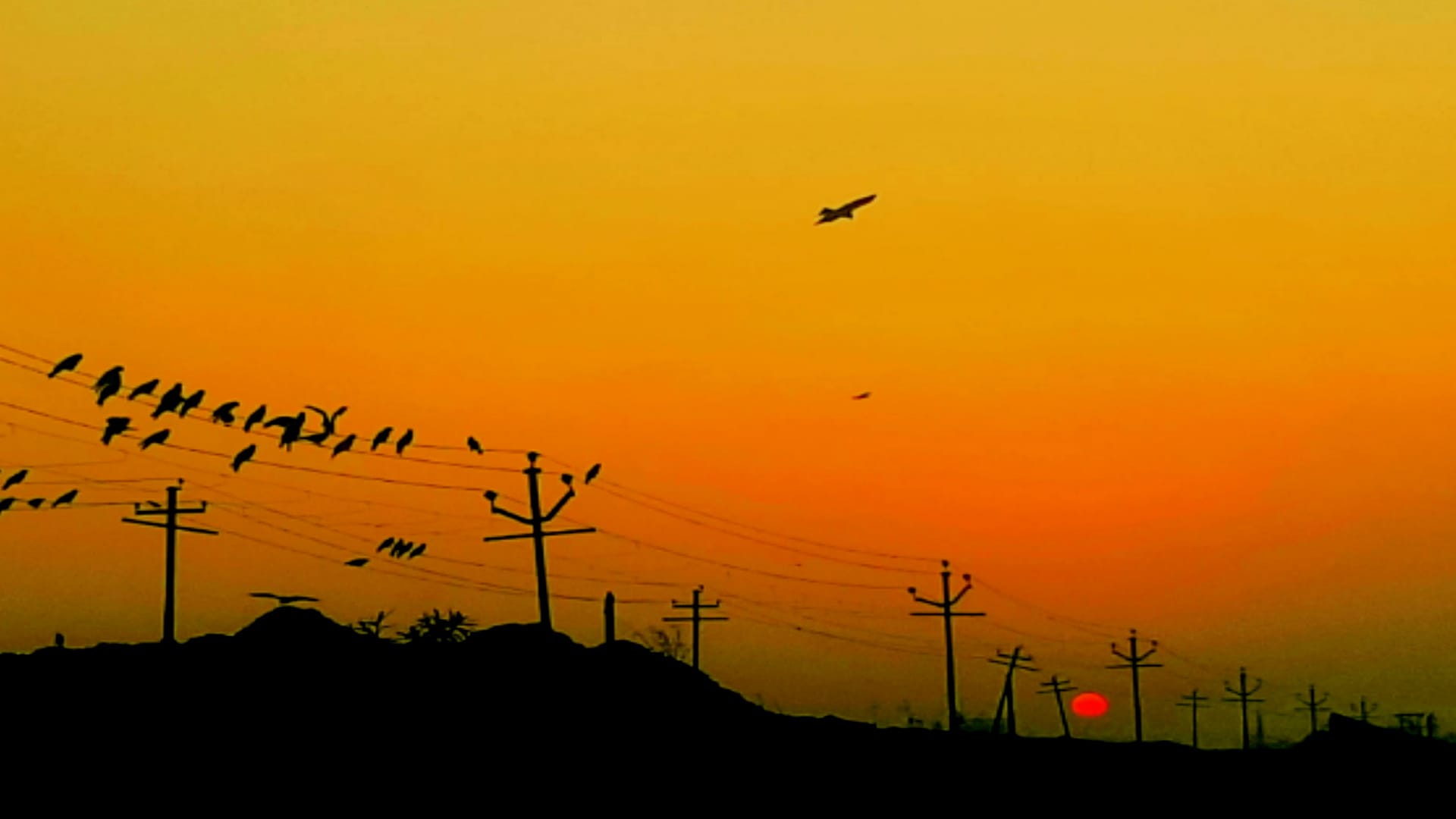 New year 2024: New sunshine, take a look on these amazing pictures of winter