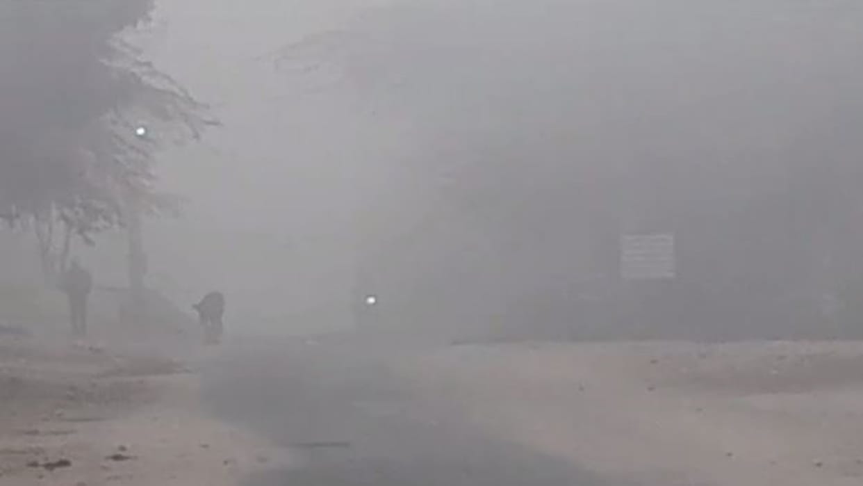 Rajasthan Weather Update: Melting increased as the mercury fell, the entire state is in the grip of fog