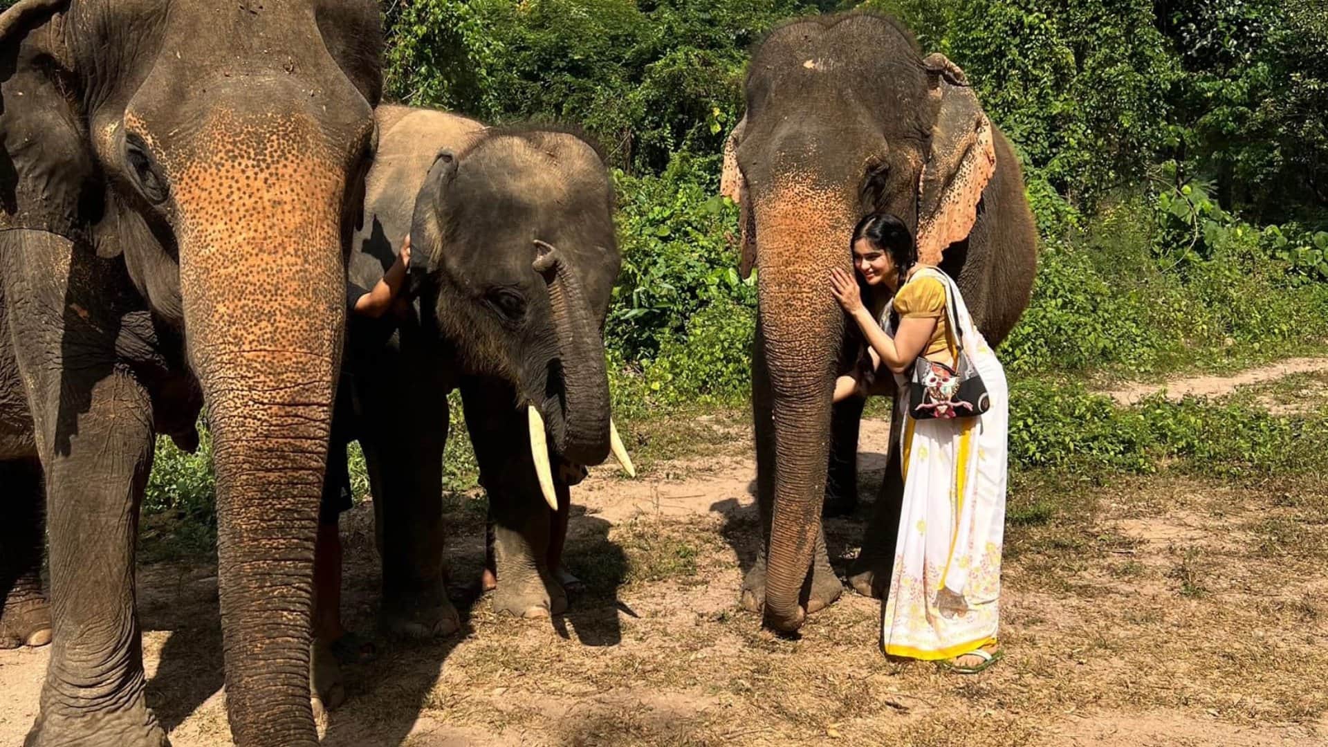 The kerala story fame adah sharma wishes new year 2024 to amar ujala readers done Bastar The Naxal Story shoot