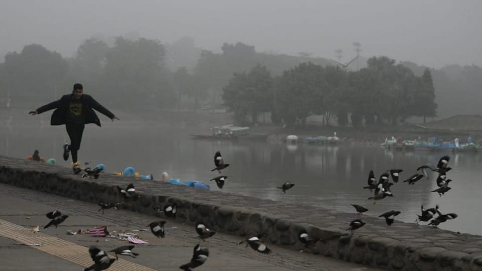 Fog in Chandigarh on New Year all update