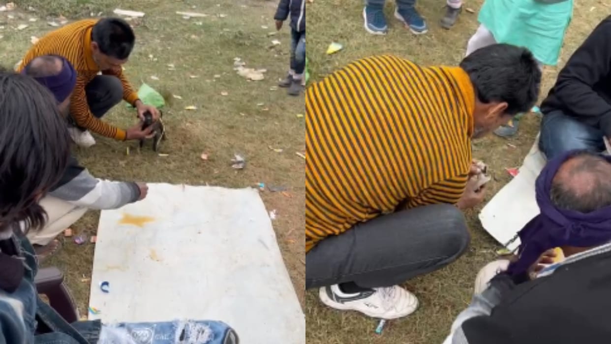 People gave alcohol to puppies video goes viral in bareilly
