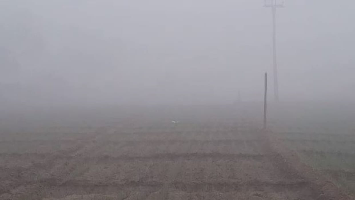 Rajasthan Weather Update: Night temperature reaches zero in Abu, warning of dense fog for next 4 days