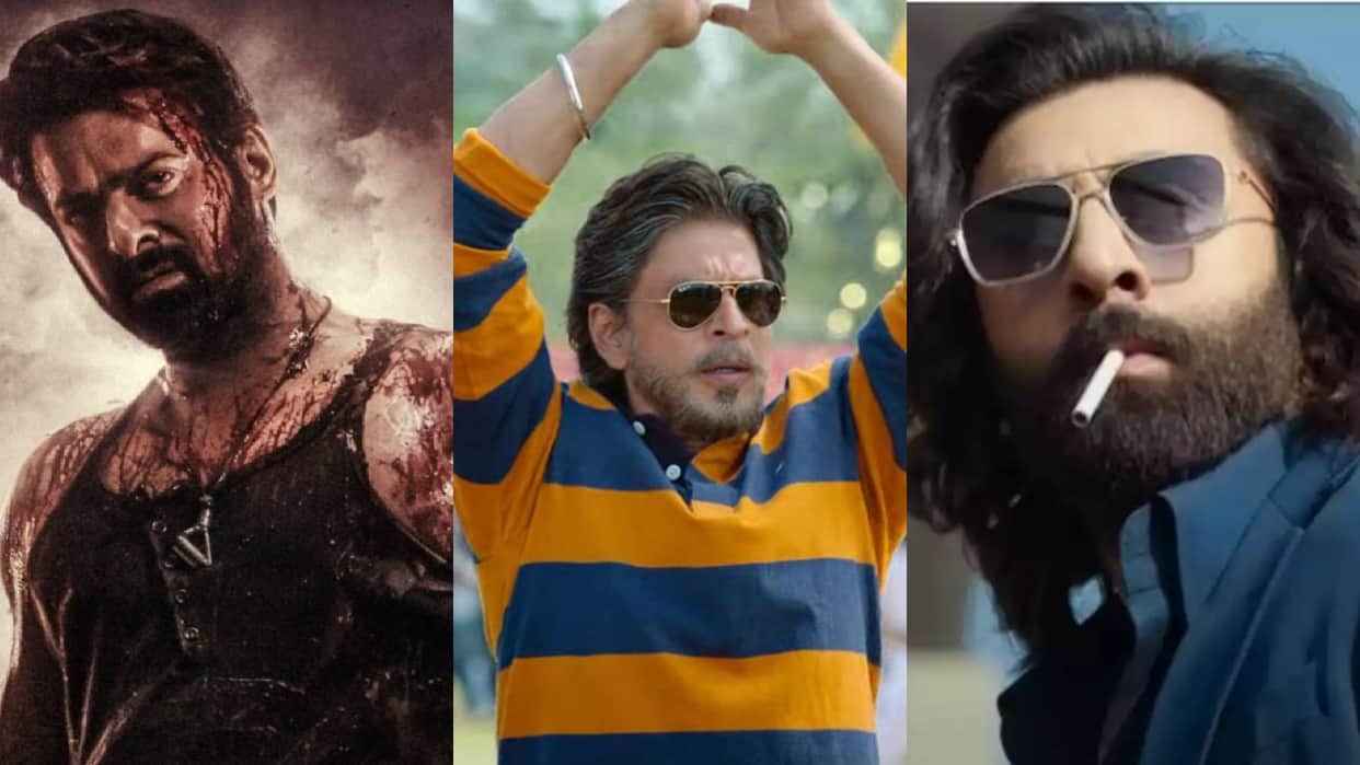 Sunday Box Office collection Know Shahrukh Khan Dunki Prabhas Salaar Ranbir kapoor Animal film Earnings