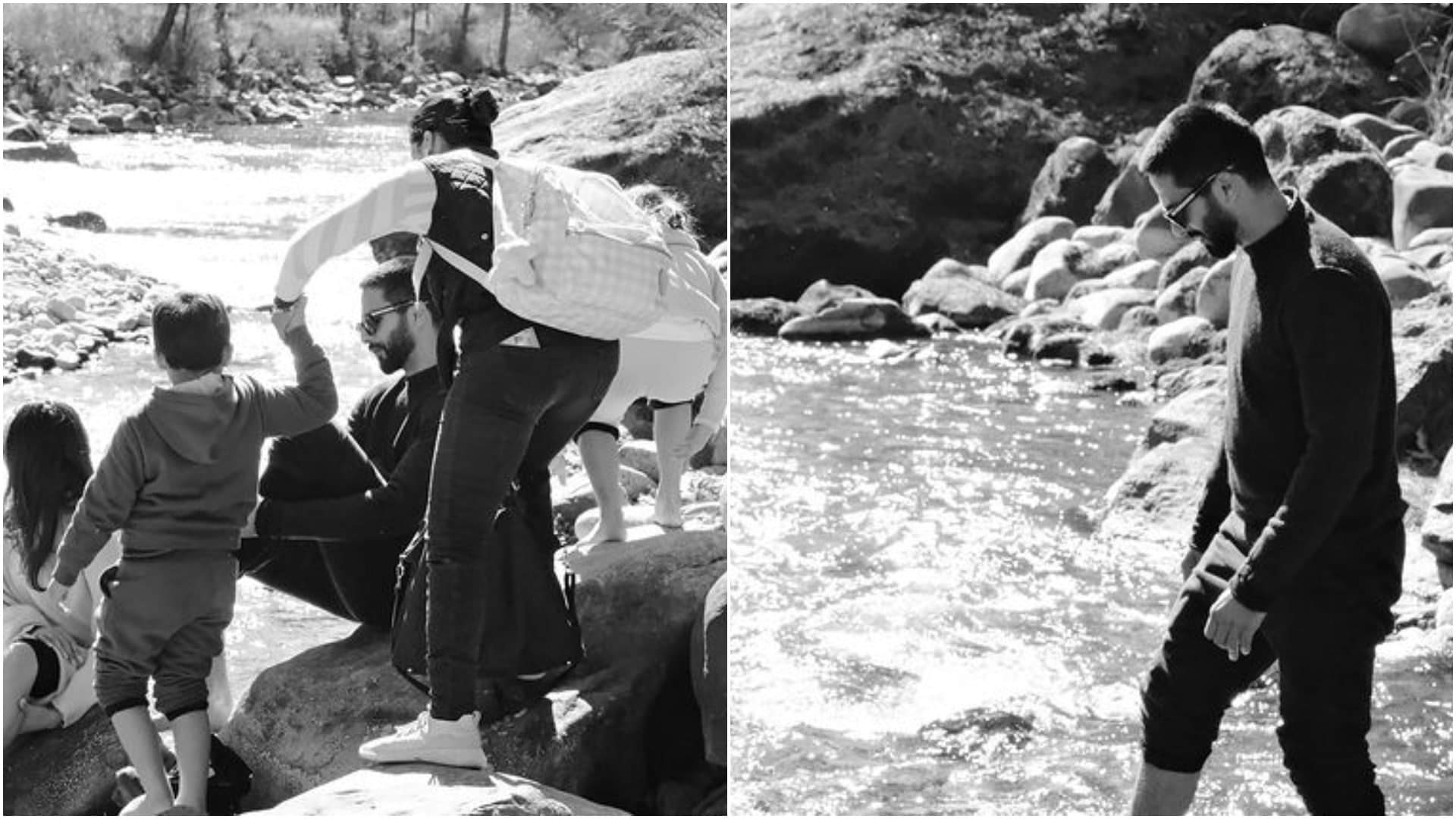 Shahid Kapoor Kajol Katrina Kaif Nayanthara give glimpse of how they celebrated New Year 2024 See here photos