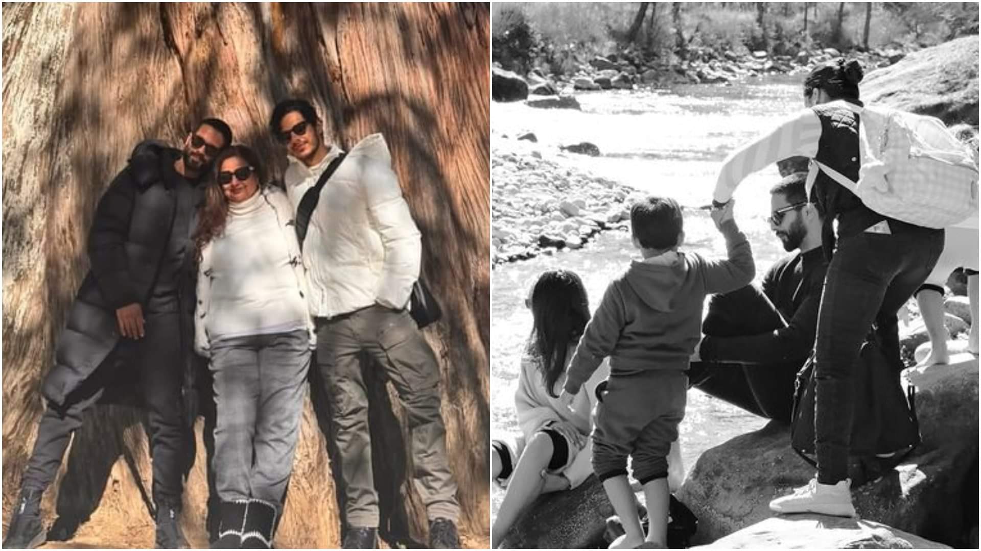 Shahid Kapoor Parineeti Chopra Sanjay Dutt Kriti Sanon These celebs celebrate New Year in abroad see photos