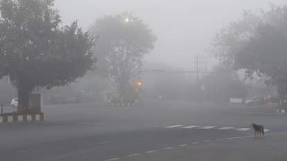 उत्तर की हवाओं ने बढ़ाई प्रदेश में ठिठुरन