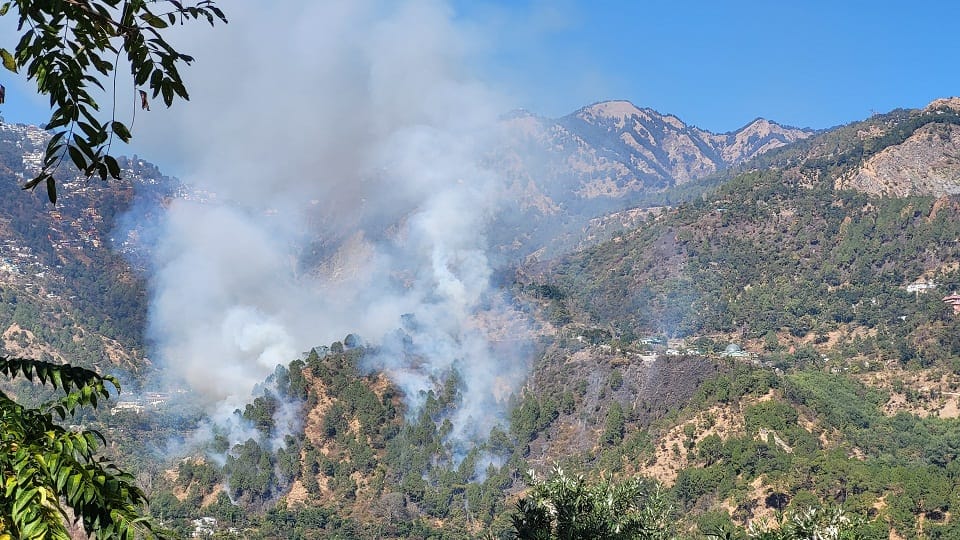 Nainital forests start blazing even in winter, naibital hindi news