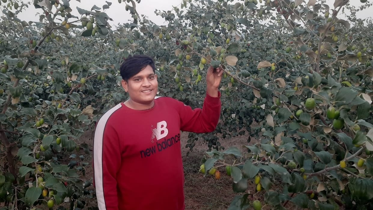 Plum gardening in dark zone in Haryana; Earning in lakhs
