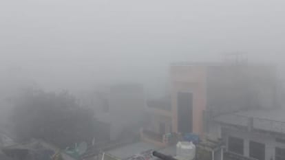 Haryana Weather: Orange Alert Of Dense Fog, Severe Cold Day For Today And Tomorrow – Amar Ujala Hindi News Live