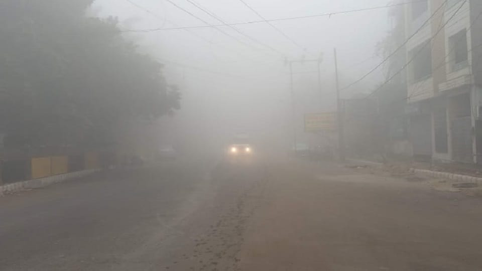 Speed vehicles slowed down due fog Moradabad division, one lost his life Amroha accident