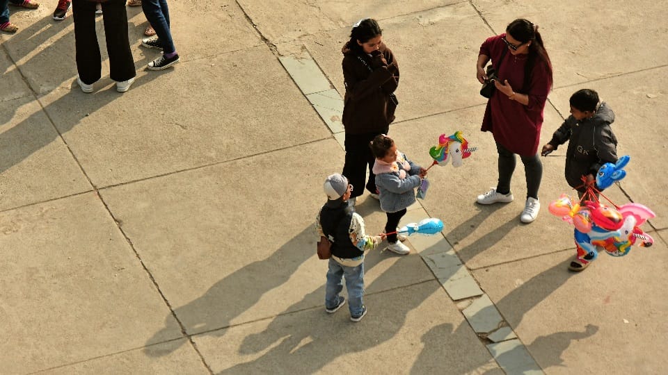 The havoc of fog has reduced, but the torture of winter continues in Chandigarh