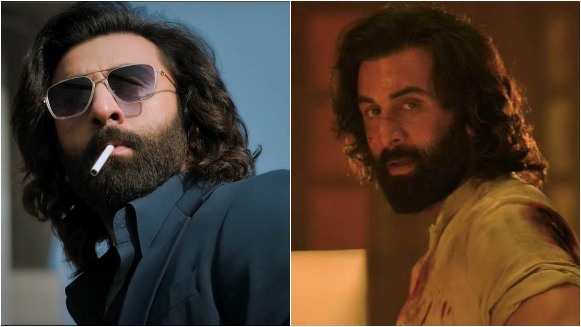 Paatal Lok Writer creator Sudip Sharma Talks About Ranbir kapoor Rashmika film Animal says I did not like