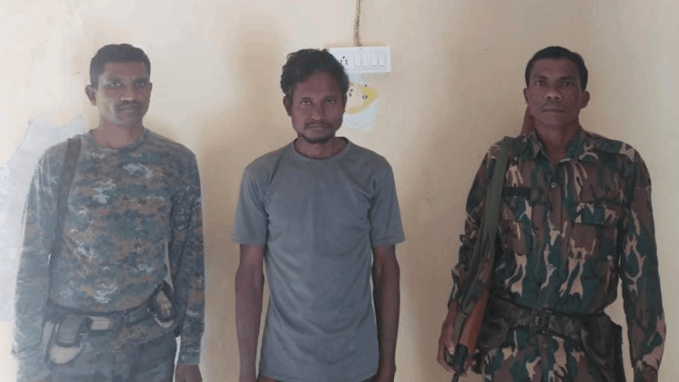 Naxalite arrested with reward of 10 thousand Rs in Bijapur