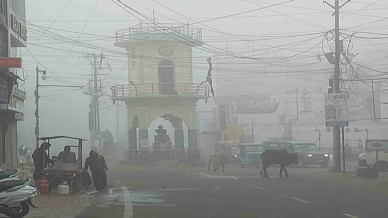 MP News: Damoh city shivered with cold due to cold wave