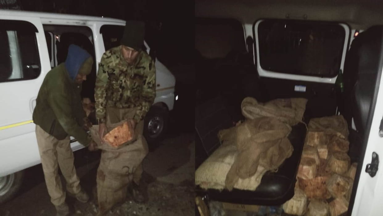 Forest department seized 200 pieces of banned Kajal wood near Gangotri Highway Uttarakhand news