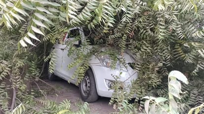 Huge tree fell on two cars eight people including four children trapped