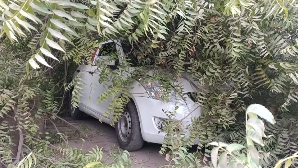Huge tree fell on two cars eight people including four children trapped