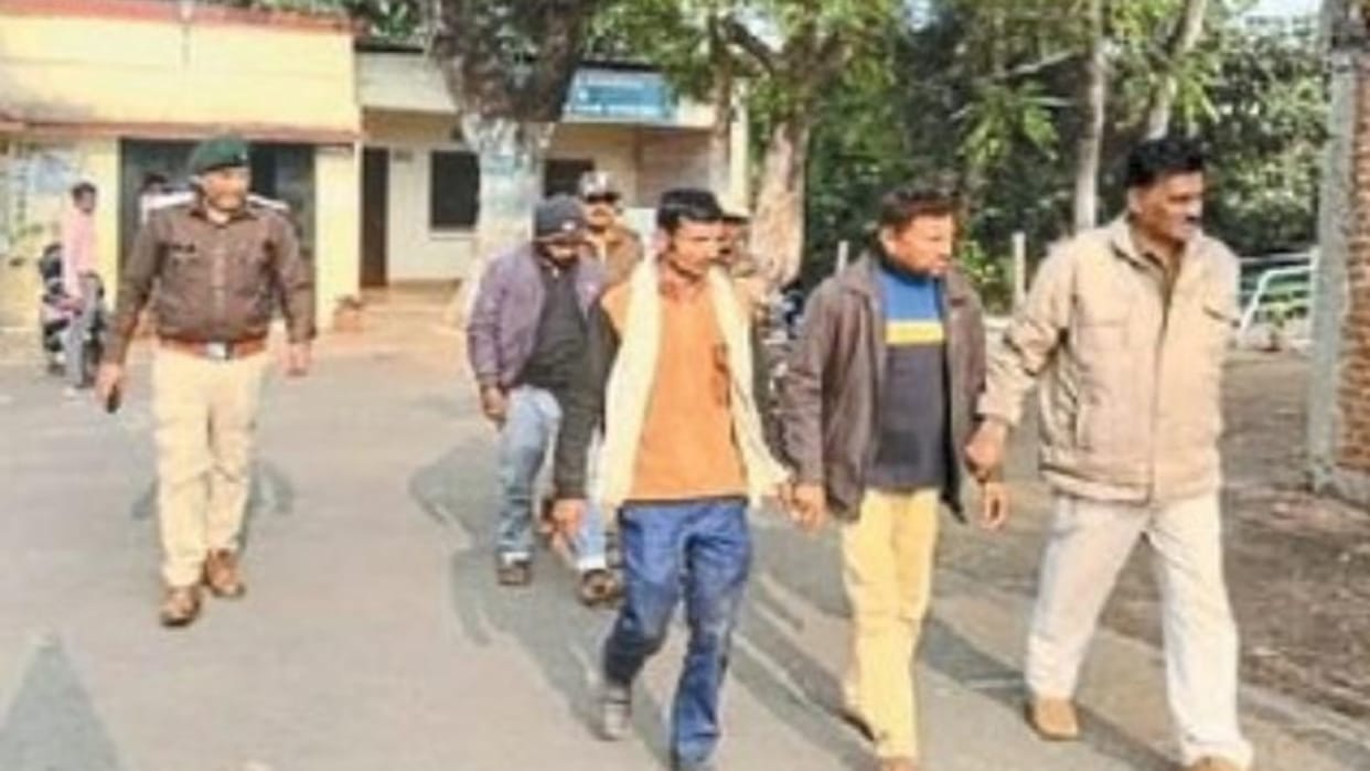 Katni News Pigs were killed and cooked with bombs after hunting them