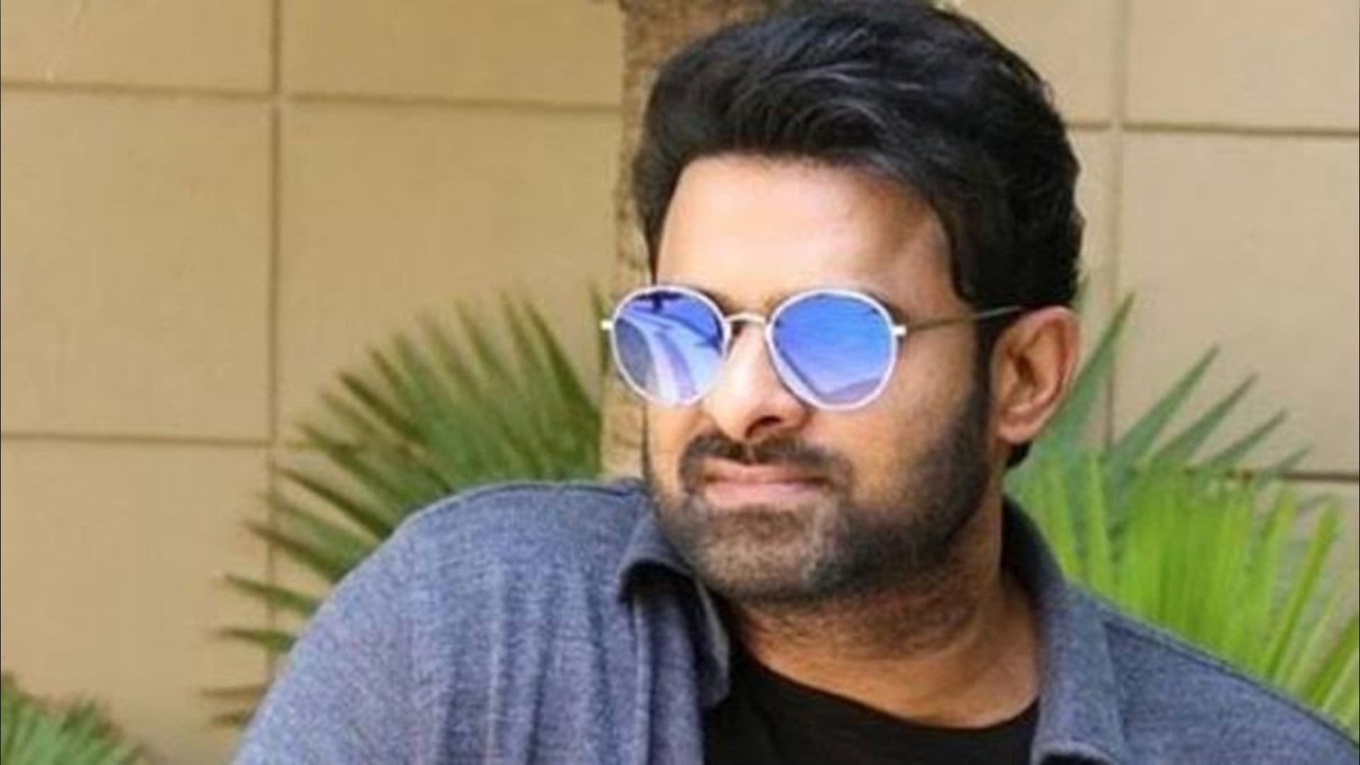 The Raja Saab Director Maruthi Statement regarding the essence of Prabhas film plot line on IMDb