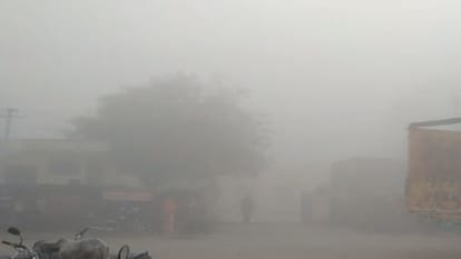 Rajasthan Weather Update: Effect of fog intensifies, Meteorological Department warns of rain amid melting