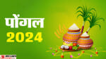 Pongal 2024: इस साल कब से शुरू हो रहा है चार दिवसीय पोंगल पर्व