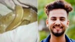 बरामद सांप व एल्विश यादव की फोटो।