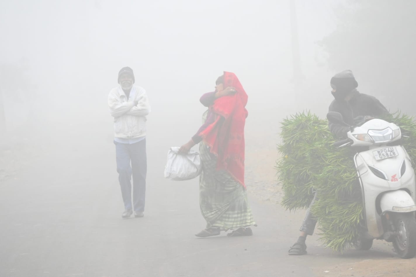 Weather Forecast Update Today: Dense Fog, IMD Rain Alert for Bhopal, Sehore, Jabalpur, Umaria, Betul