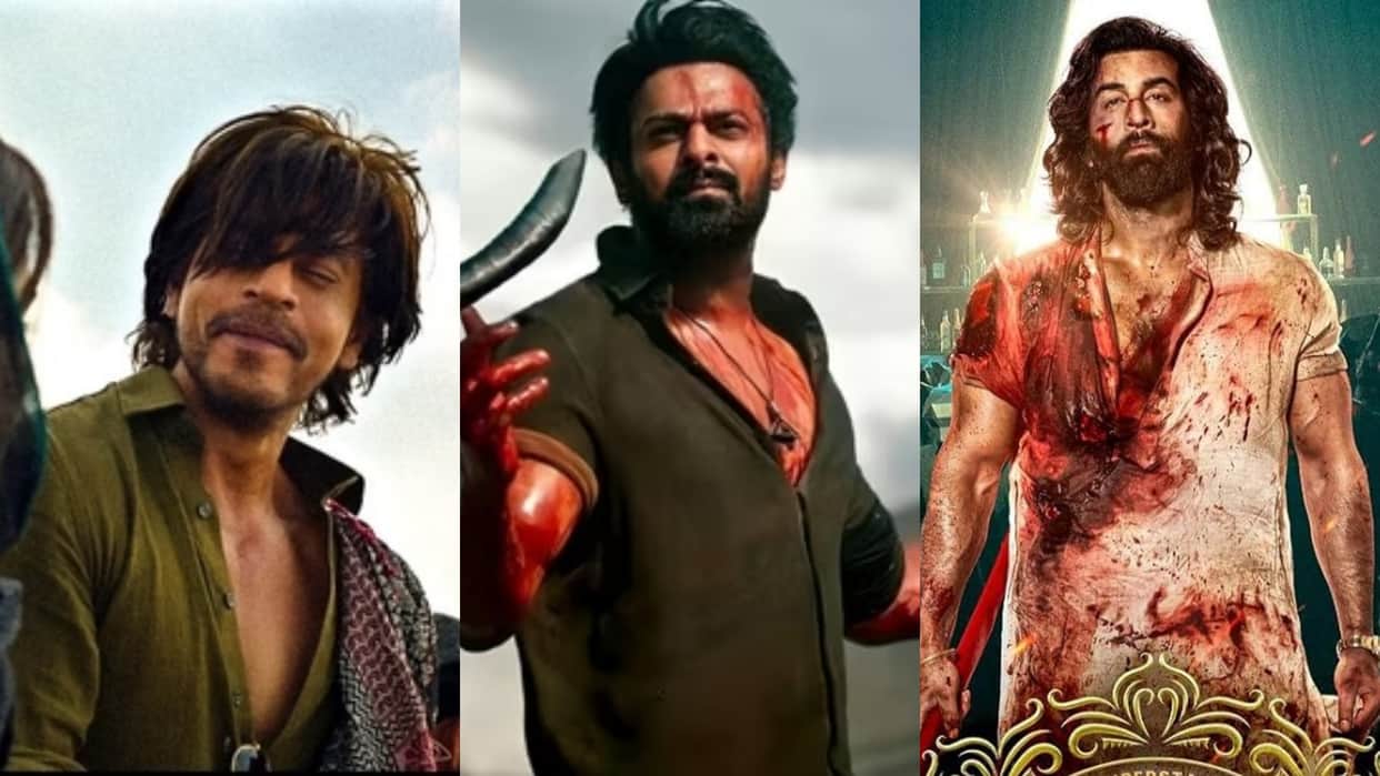 Box Office Collection Report Shah Rukh Khan Dunki Prabhas Salaar Ranbir Kapoor Animal