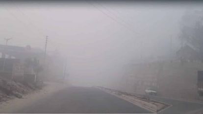 Himachal Weather Forecast Update Today: Cold Wave, Dense Fog in Mandi, Hamirpur, Una, Solan Mausam News