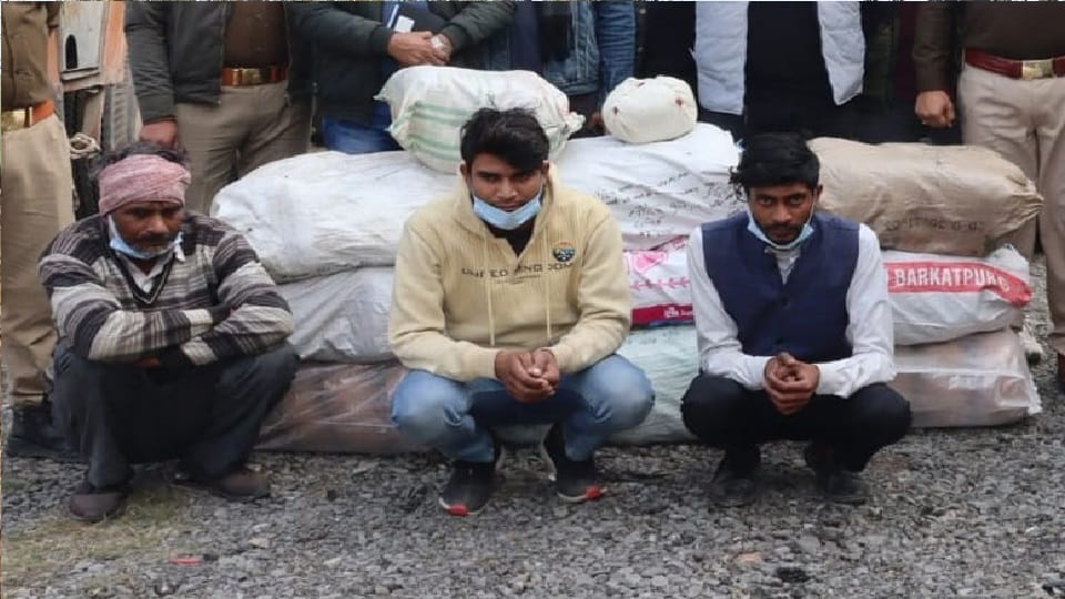 Three members of smuggling gang arrested with two quintals of ganja