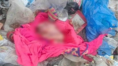 मैनपुरी: खेत में पड़ा मिला बच्चे का भ्रूण, पुलिस कर रही जांच; ग्रामीण बोले- कोई यहां फेंक गया Child's fetus found lying in the field police investigating