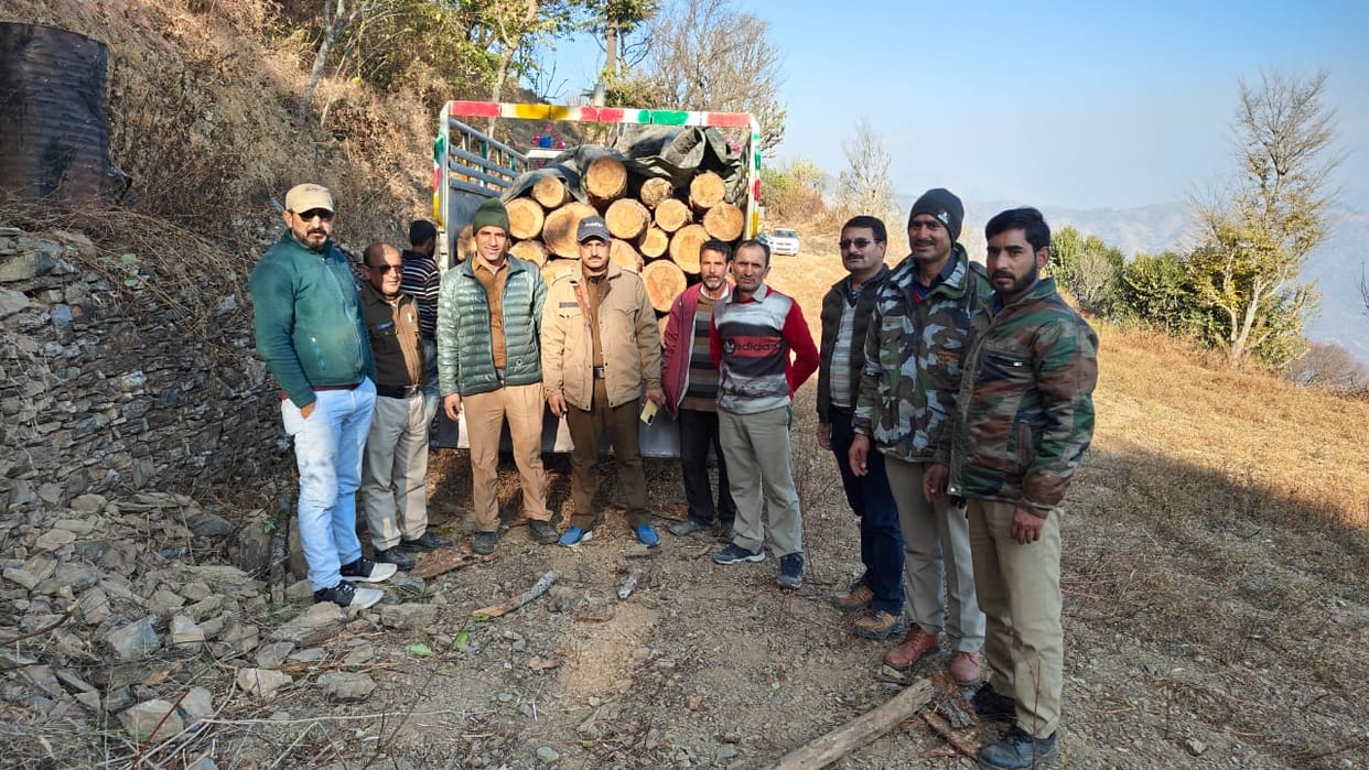 Dehradun Chakrata Forest Division trees Illegal cutting 22 cedar stumps found in fields in Makhti