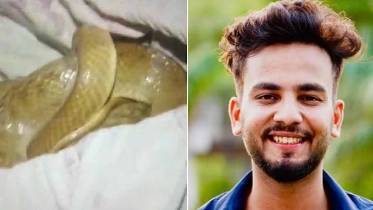 Two associates of Elvish Yadav arrested in snake poison supply case