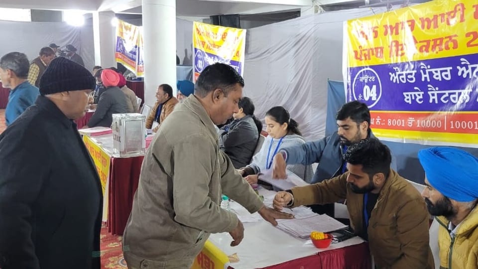 Punjab NRI Sabha elections in jalandhar today result update news