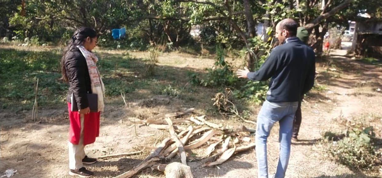 Dehradun News Illegal felling of mango orchard in Rajawala sawing on 15 green trees