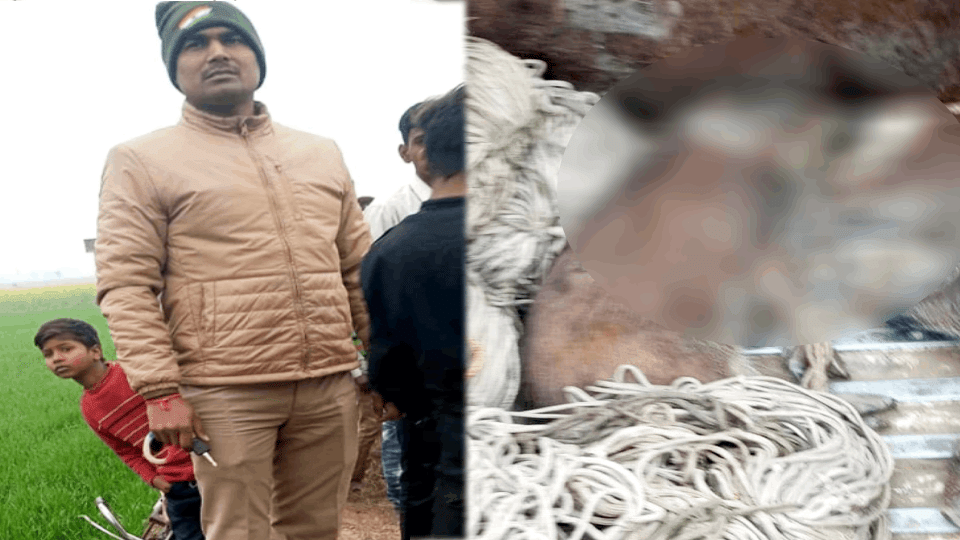 forest department team caught six poachers while hunting pigs in Sirsauli