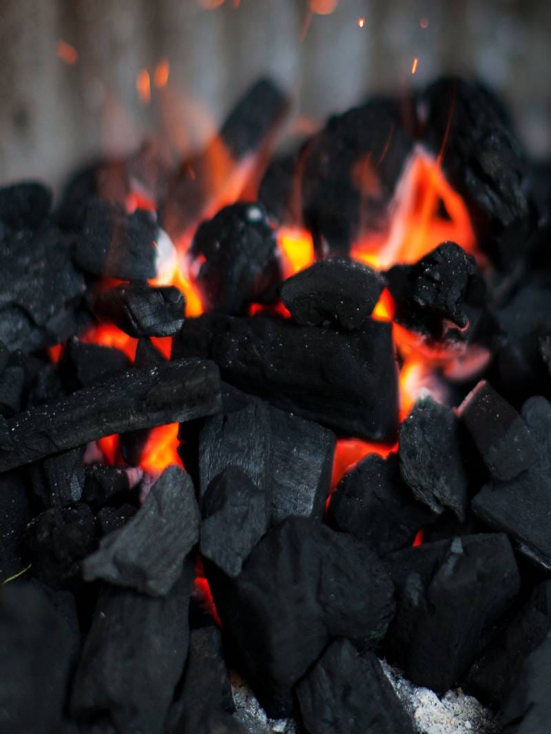 Time Machine sensational past of coal influenced geography as well as history