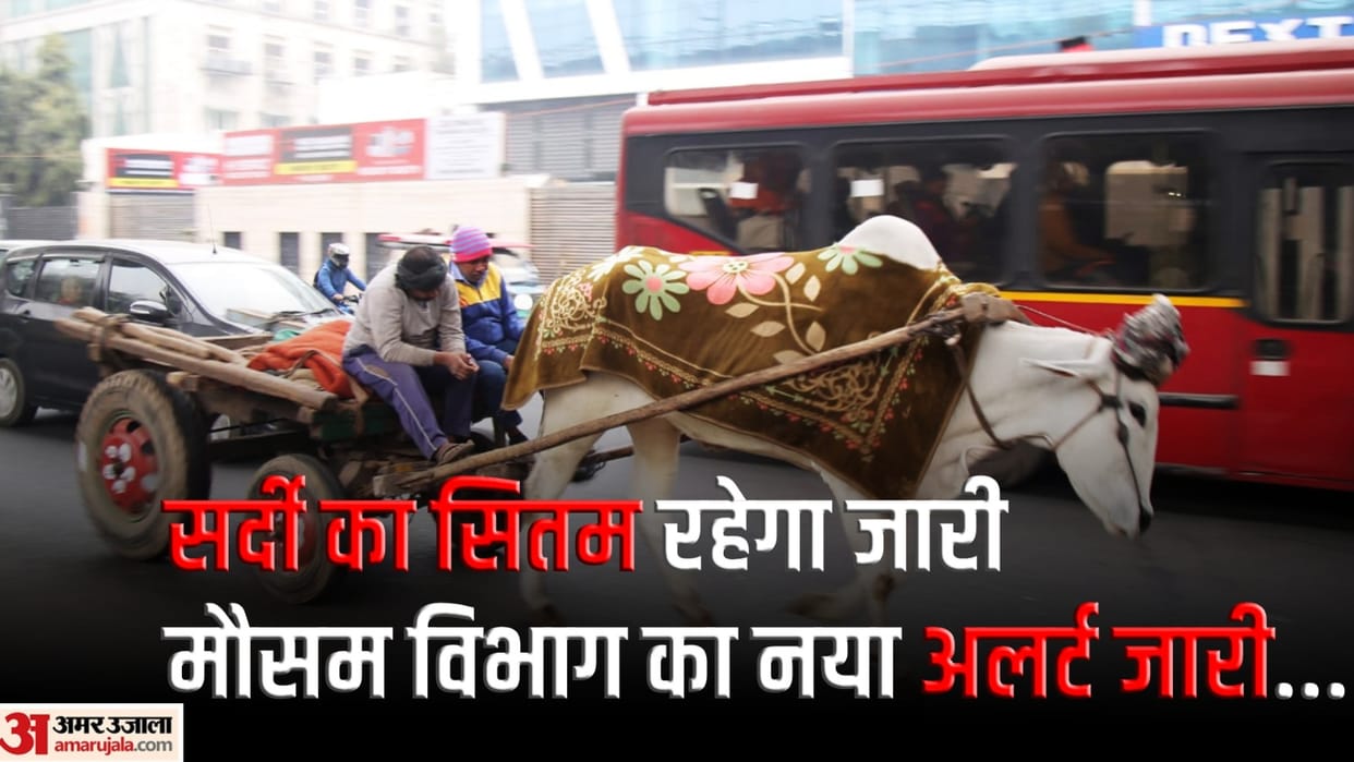 Cold day wreaks havoc in Delhi throughout the day yellow alert issued for two days