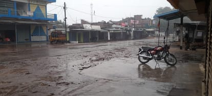 Weather Forecast Update Today: Dense Fog, IMD Rain Alert for Bhopal, Sehore, Jabalpur, Umaria, Betul
