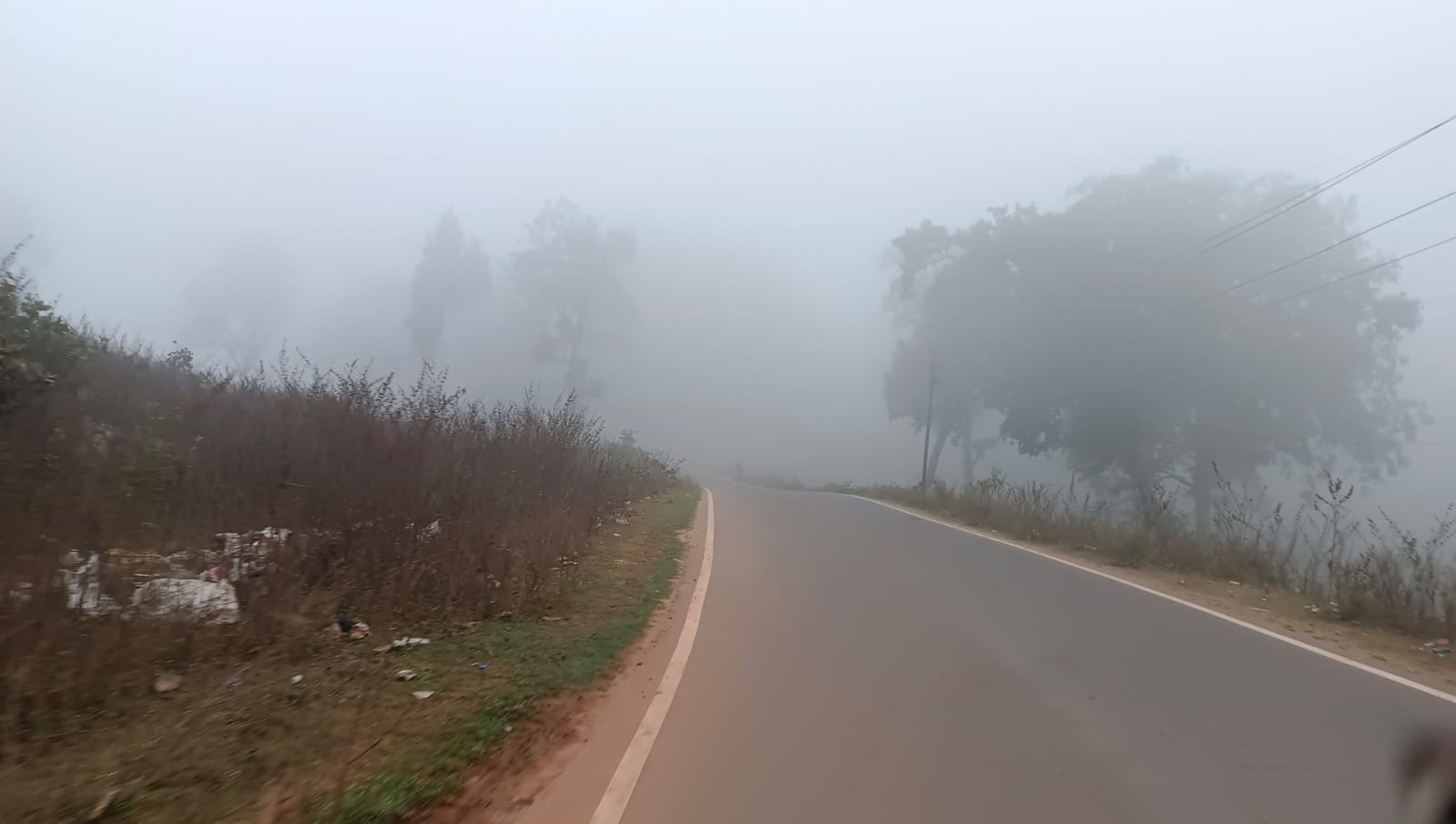 Weather Forecast Update Today: Dense Fog, IMD Rain Alert for Bhopal, Sehore, Jabalpur, Umaria, Betul