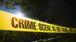 crime