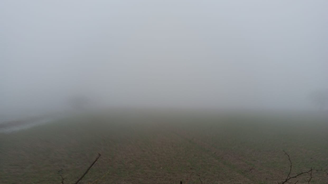 Weather Haryana: weather will change from January 8