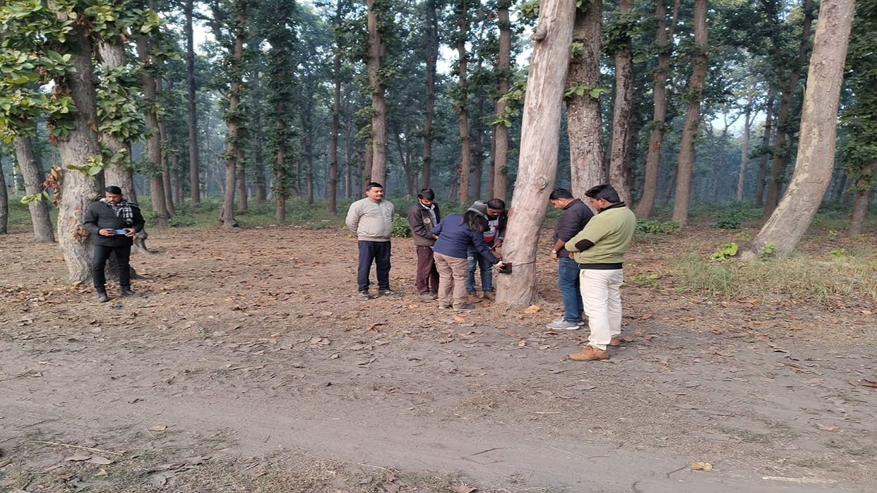 Forest workers start monitoring the tiger that killed the farmer in Pilibhit