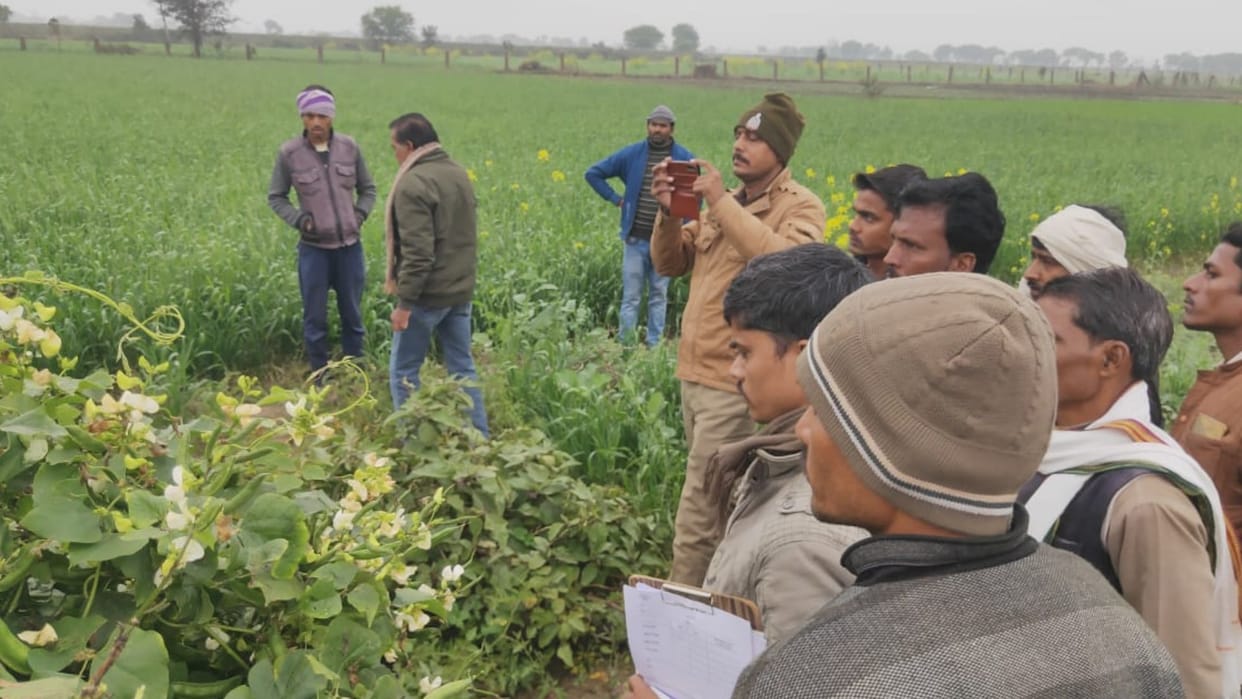 Farmer and cattle died due to lightning in Damoh
