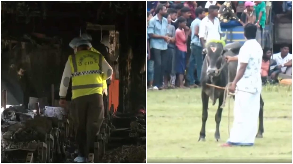 world news and update: Sri Lanka's first Jallikattu event began at Trincomalee today